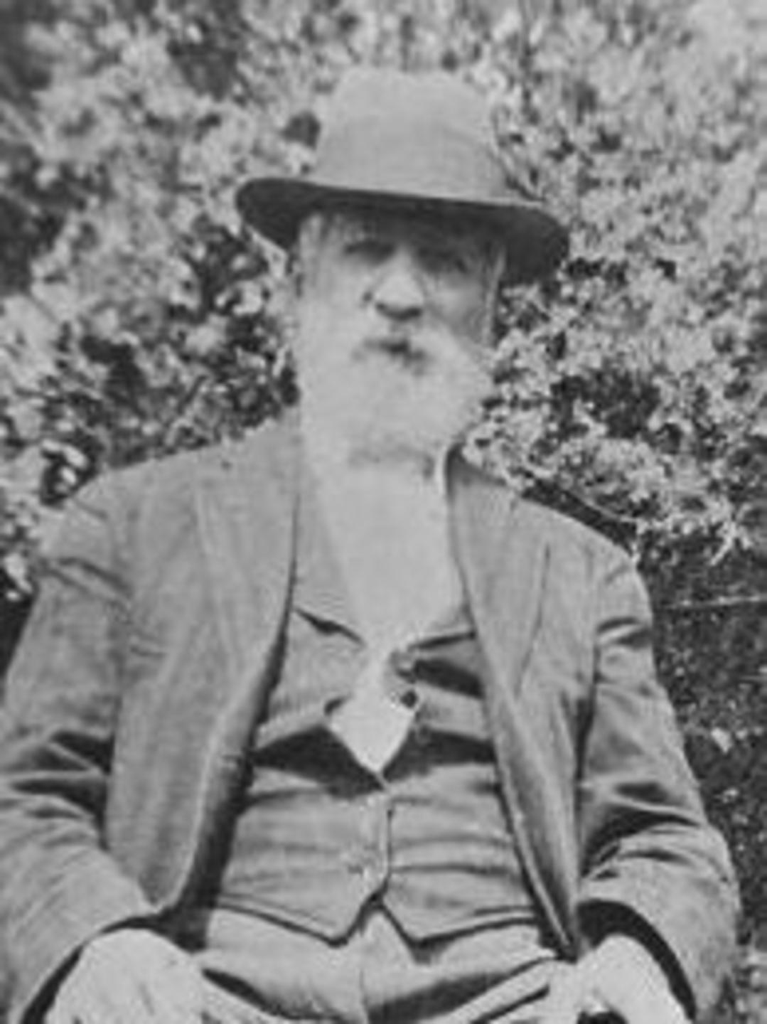 David Jenkins (1843 - 1915) Profile